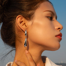 Load image into Gallery viewer, Stainless Steel Dangle Earrings