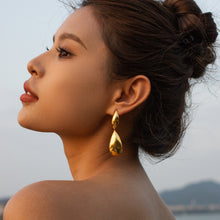 Load image into Gallery viewer, Stainless Steel Dangle Earrings