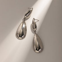 Load image into Gallery viewer, Stainless Steel Dangle Earrings