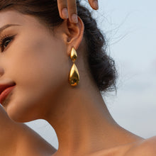 Load image into Gallery viewer, Stainless Steel Dangle Earrings