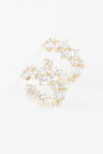 Load image into Gallery viewer, Carraway Hoop Earrings
